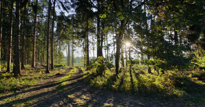 Klimaschutzstiftung Baden-Württemberg